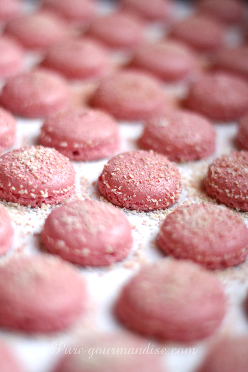 Macarons roses - Pure Gourmandise