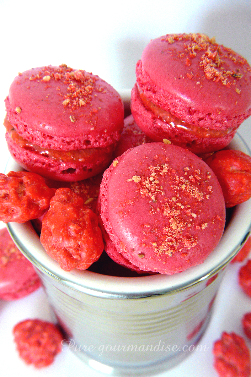 Macarons aux pralines roses - Pure Gourmandise