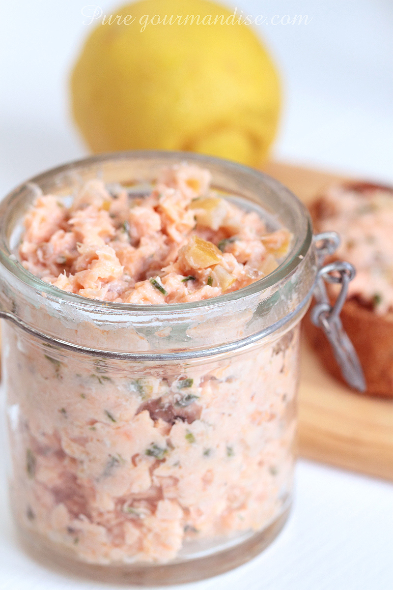 Rillettes de saumon aux herbes et citron confit - Pure Gourmandise