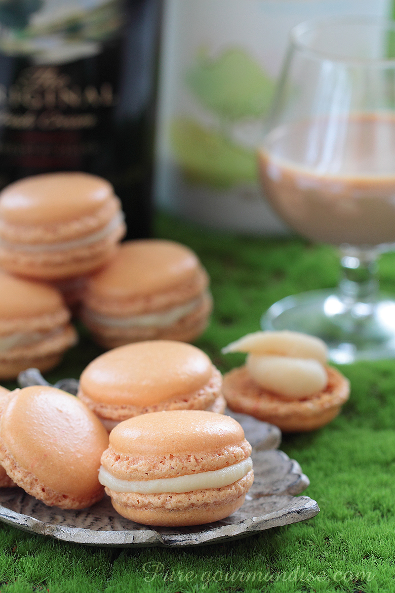 Macarons au Baileys - Pure Gourmandise