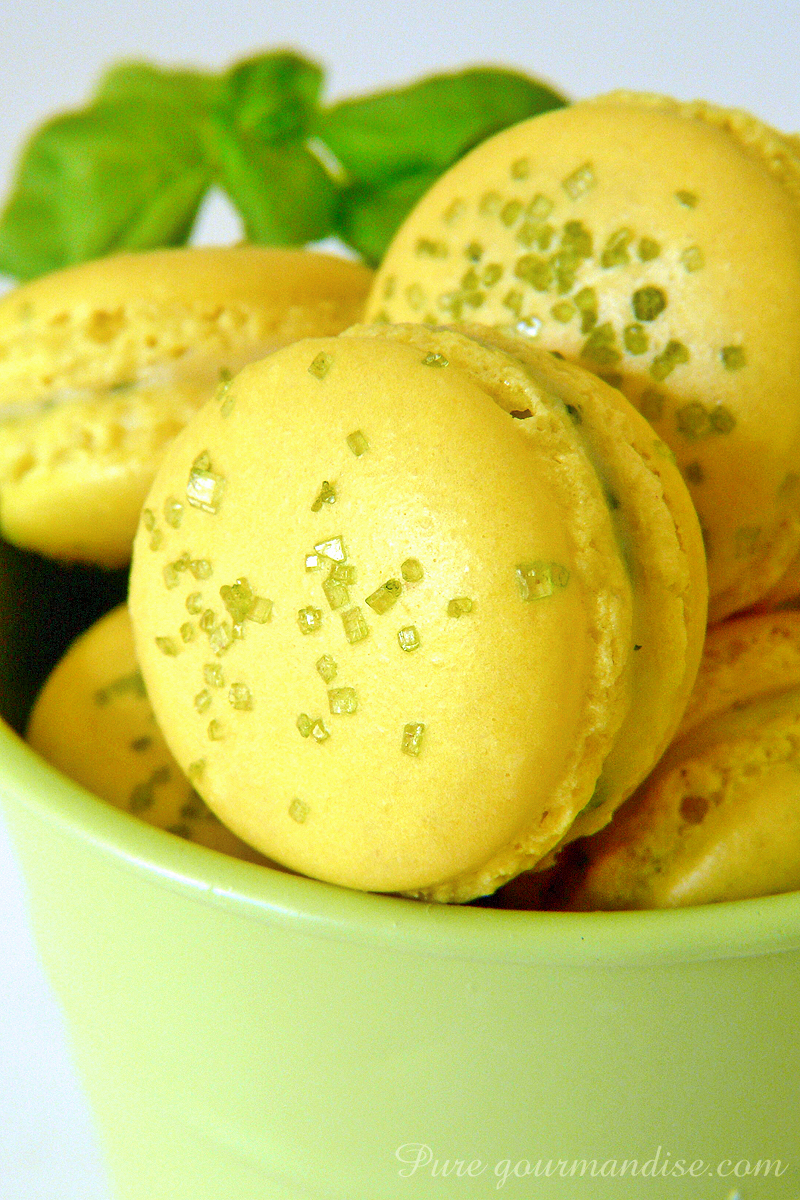 Macarons citron basilic - Pure Gourmandise